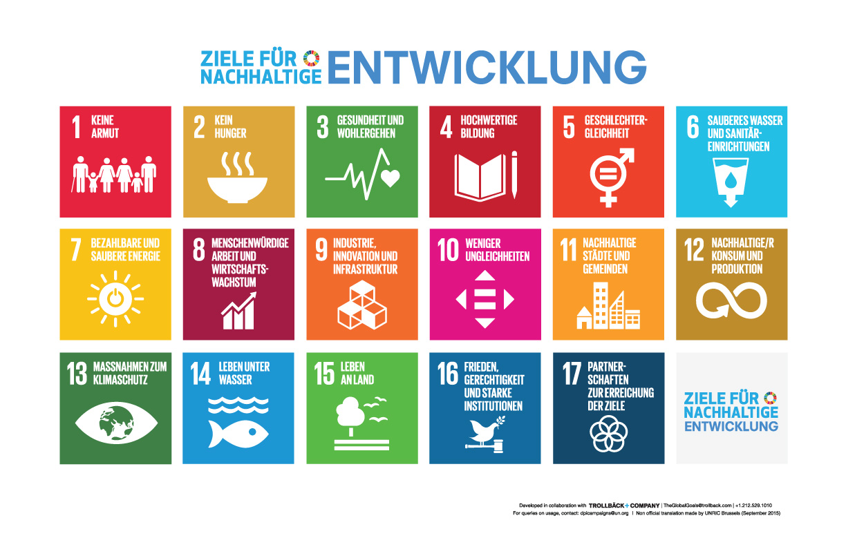 SDG 17 Ziele